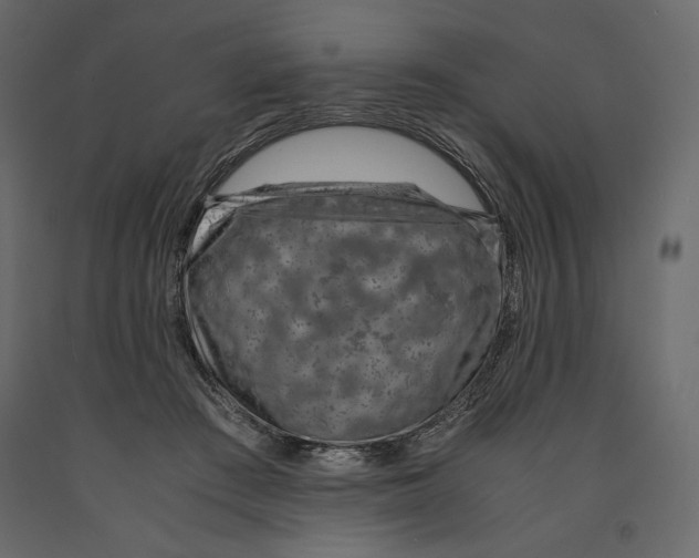 X0000090900409200708270948