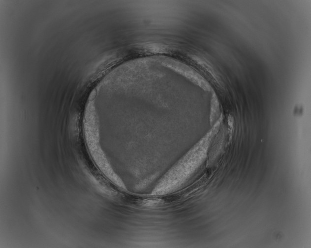 X0000090900410200708270948