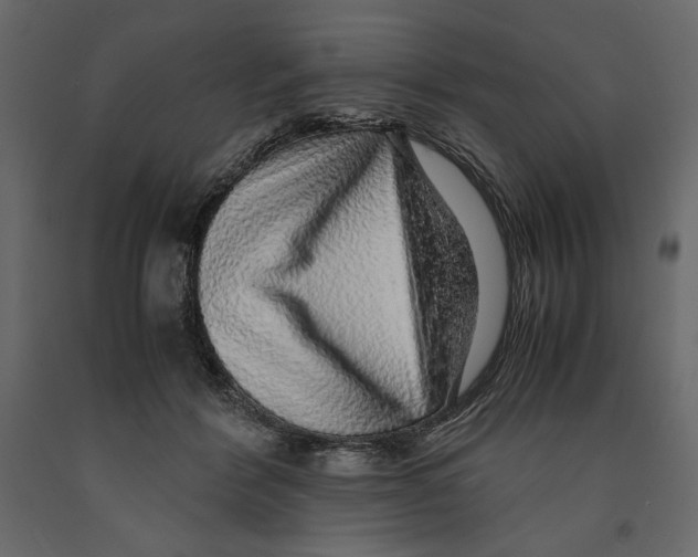 X0000090900412200708270948