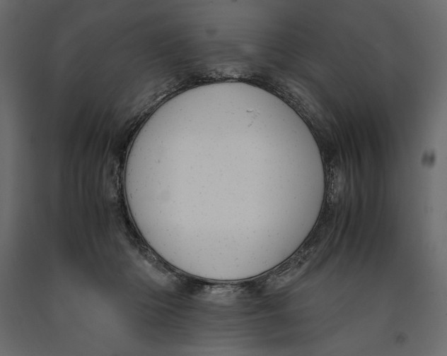 X0000090900414200708270948