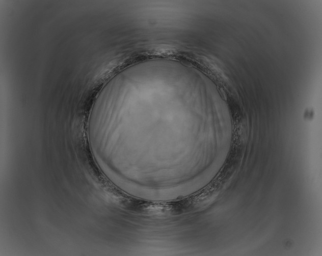 X0000090900415200708270948