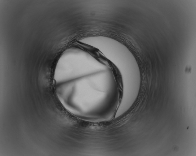 X0000090900416200708270948