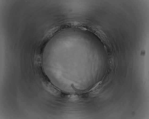 X0000090900419200708270948
