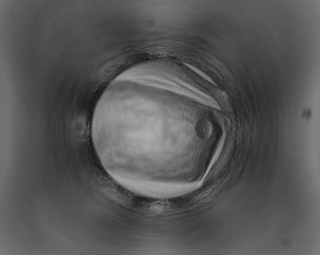 X0000090900420200708270948