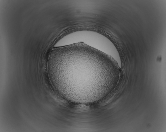 X0000090900421200708270948