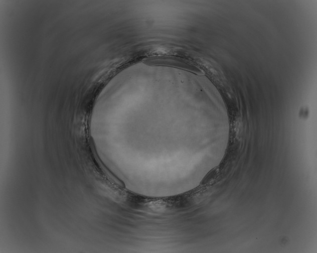 X0000090900423200708270948