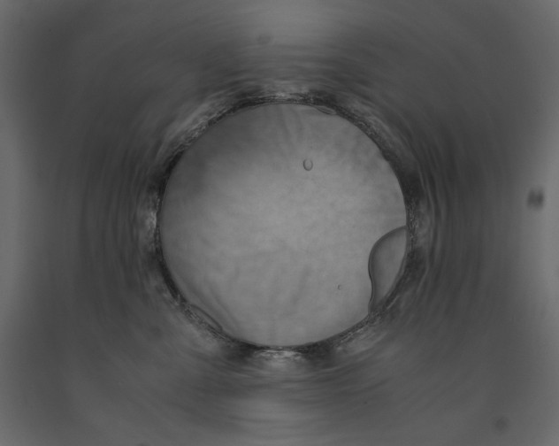 X0000090900427200708270948