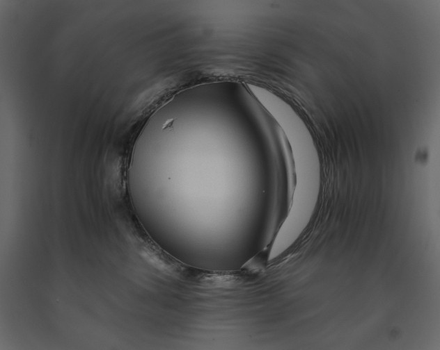 X0000090900428200708270948