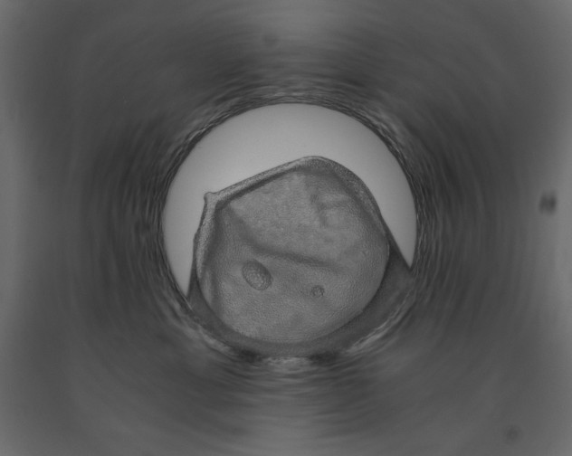X0000090900429200708270948