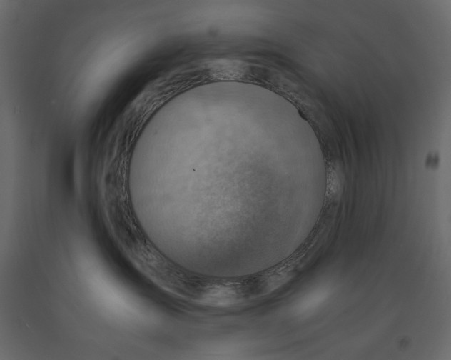 X0000090900431200708270948