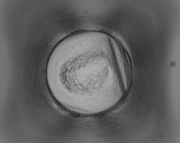 X0000090900433200708270947