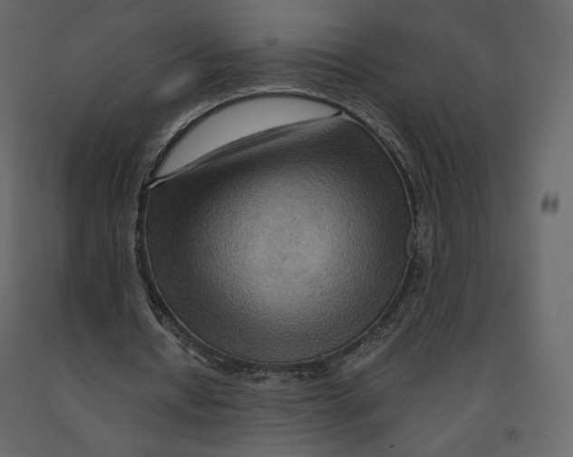 X0000090900434200708270947