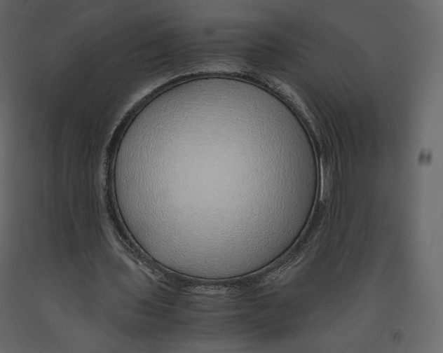 X0000090900435200708270947
