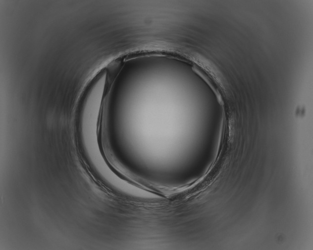 X0000090900436200708270947