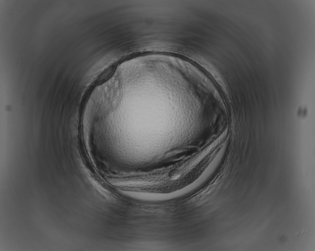 X0000090900437200708270947