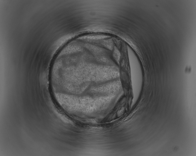 X0000090900438200708270947