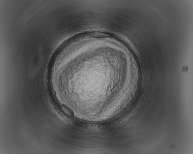 X0000090900439200708270947