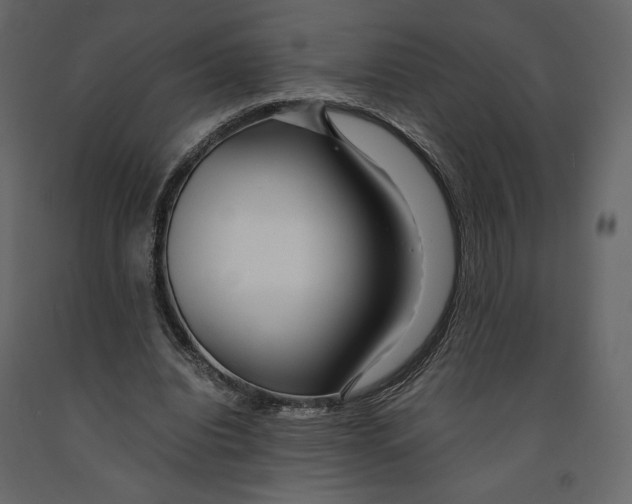 X0000090900440200708270947