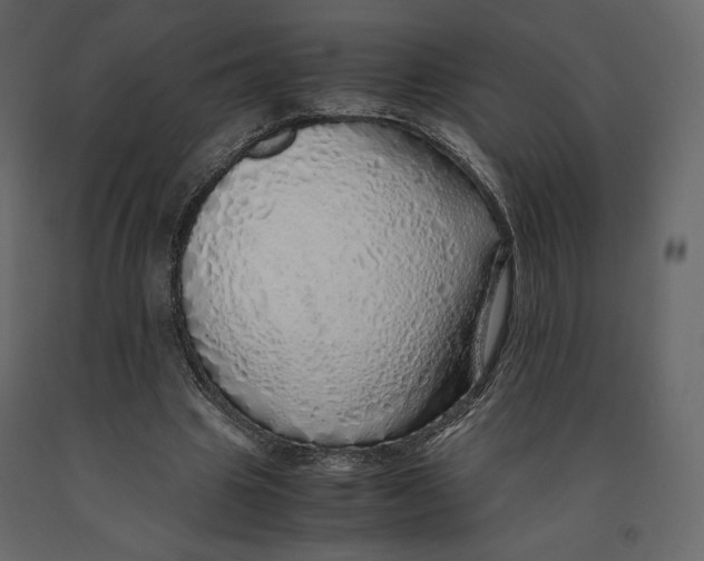 X0000090900441200708270947