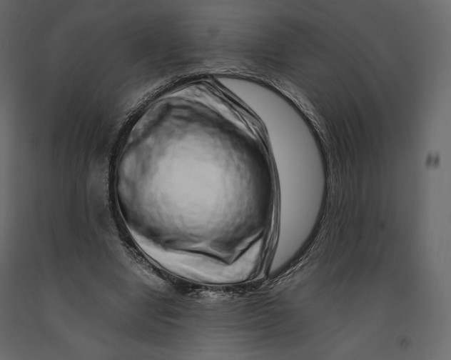 X0000090900442200708270947