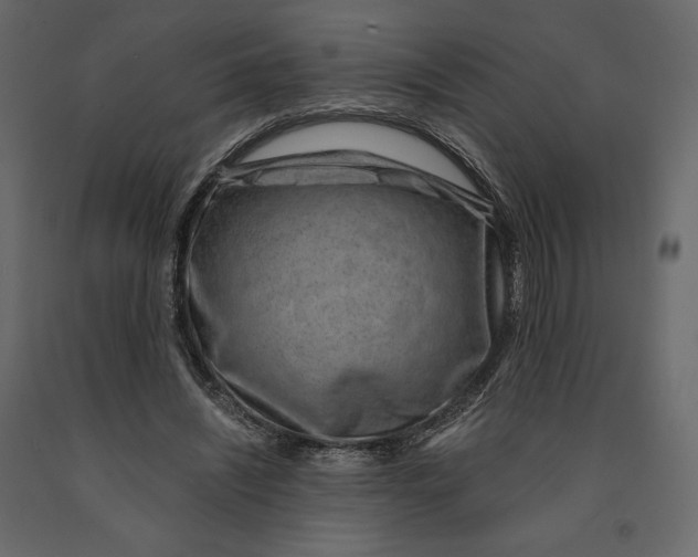 X0000090900444200708270948