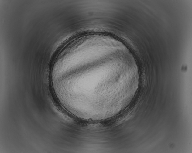 X0000090900446200708270948