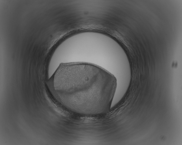 X0000090900448200708270948
