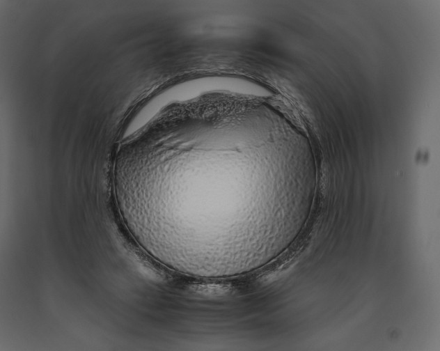 X0000090900449200708270948
