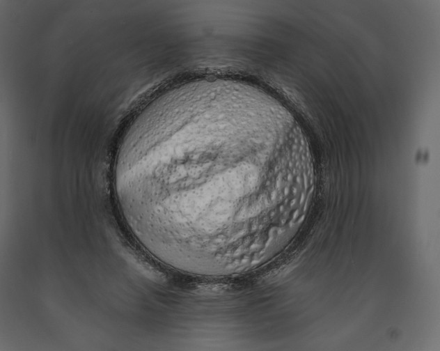 X0000090900450200708270948