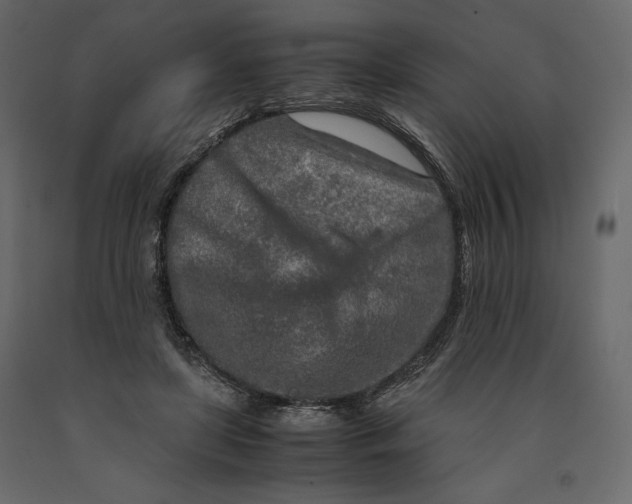 X0000090900451200708270948