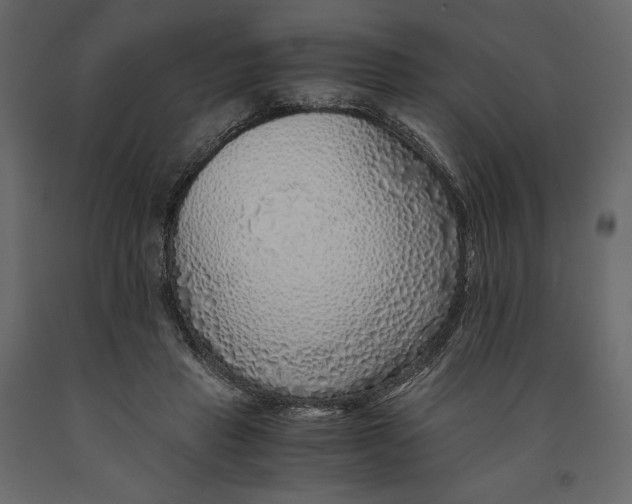 X0000090900453200708270948