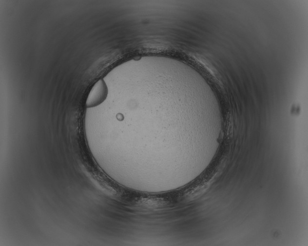 X0000090900455200708270948
