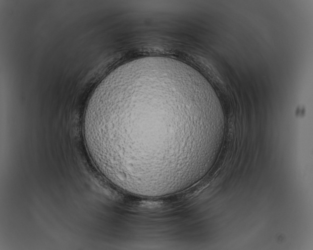 X0000090900457200708270948