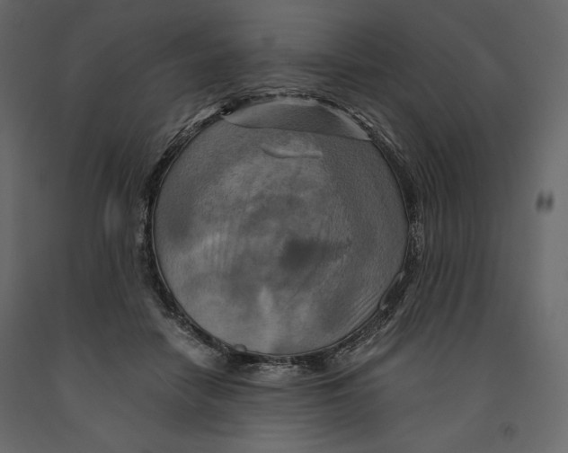 X0000090900458200708270948