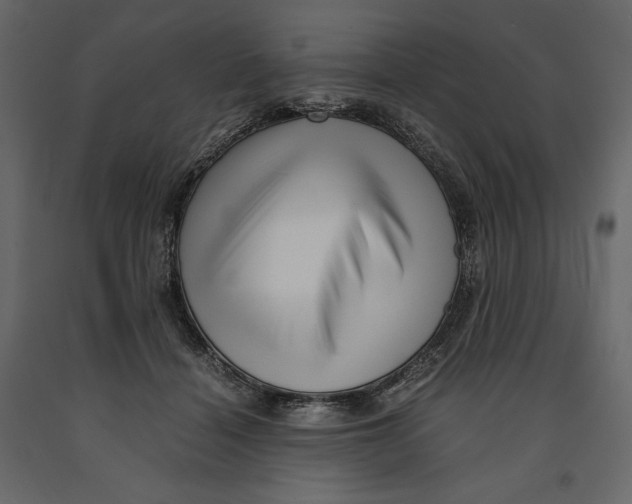 X0000090900460200708270948