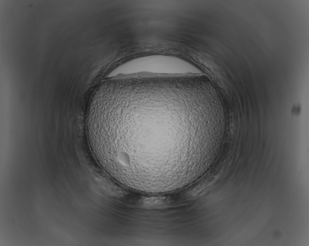X0000090900461200708270948