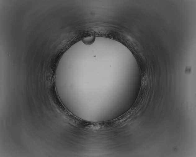 X0000090900464200708270948