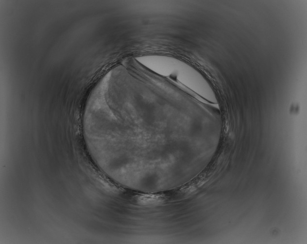 X0000090900465200708270948