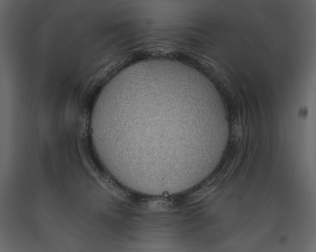 X0000090900468200708270948