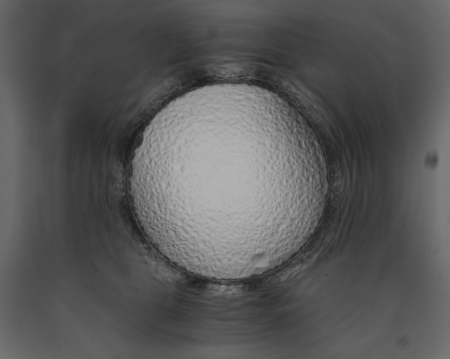 X0000090900469200708270948