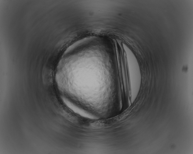 X0000090900470200708270948
