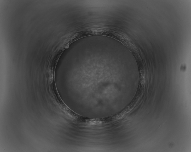 X0000090900471200708270948
