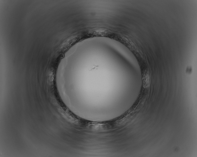 X0000090900472200708270948