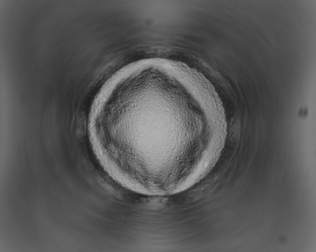 X0000090900474200708270948