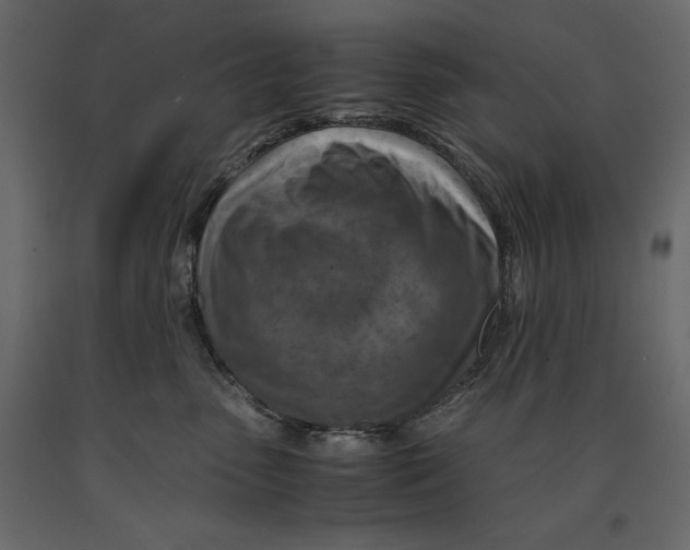 X0000090900475200708270948