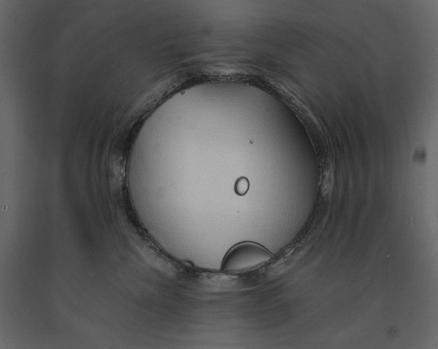 X0000090900476200708270948
