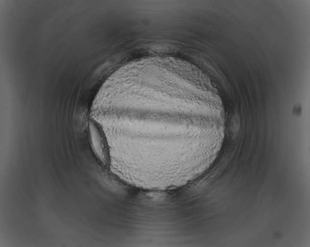X0000090900478200708270948