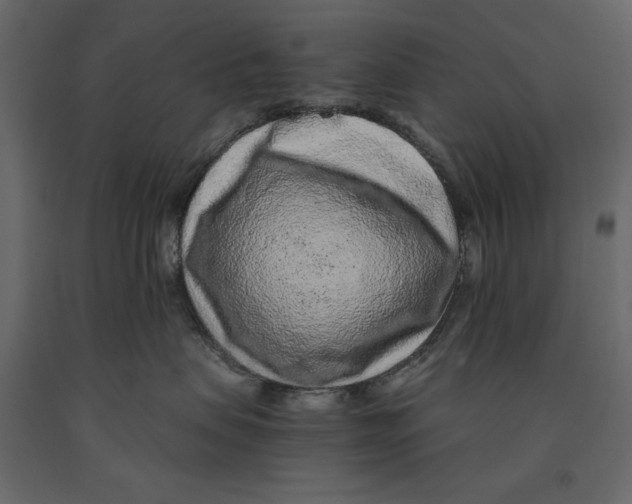 X0000090900479200708270948