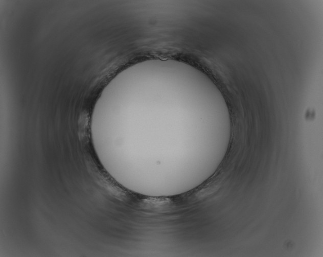 X0000090900480200708270948