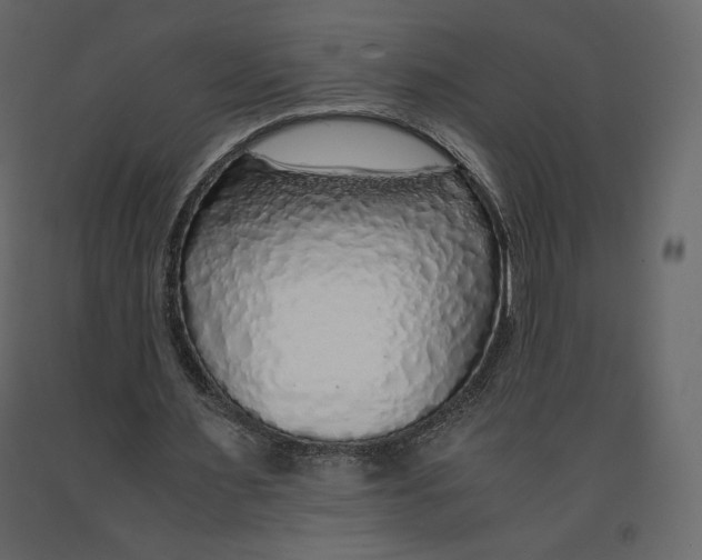 X0000090900483200708270947